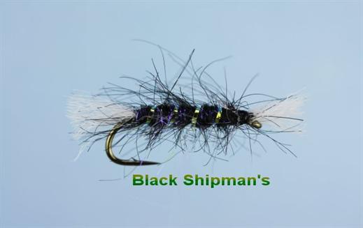 Black Shipman's